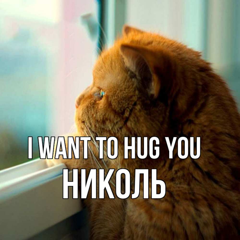 Greetings card с именем, Николь I want to hug you большой огромный рыжий котяра Greetings with text for free download 