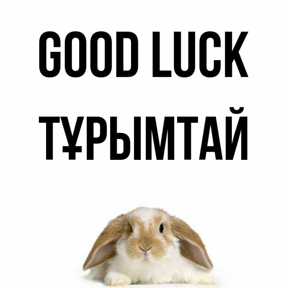 Greetings card с именем, ТҰРЫМТАЙ Good luck открытки с произвольным текстом который можно вставить в открытку и создать ее самостоятельно бесплатно онлайн Greetings with text for free download 