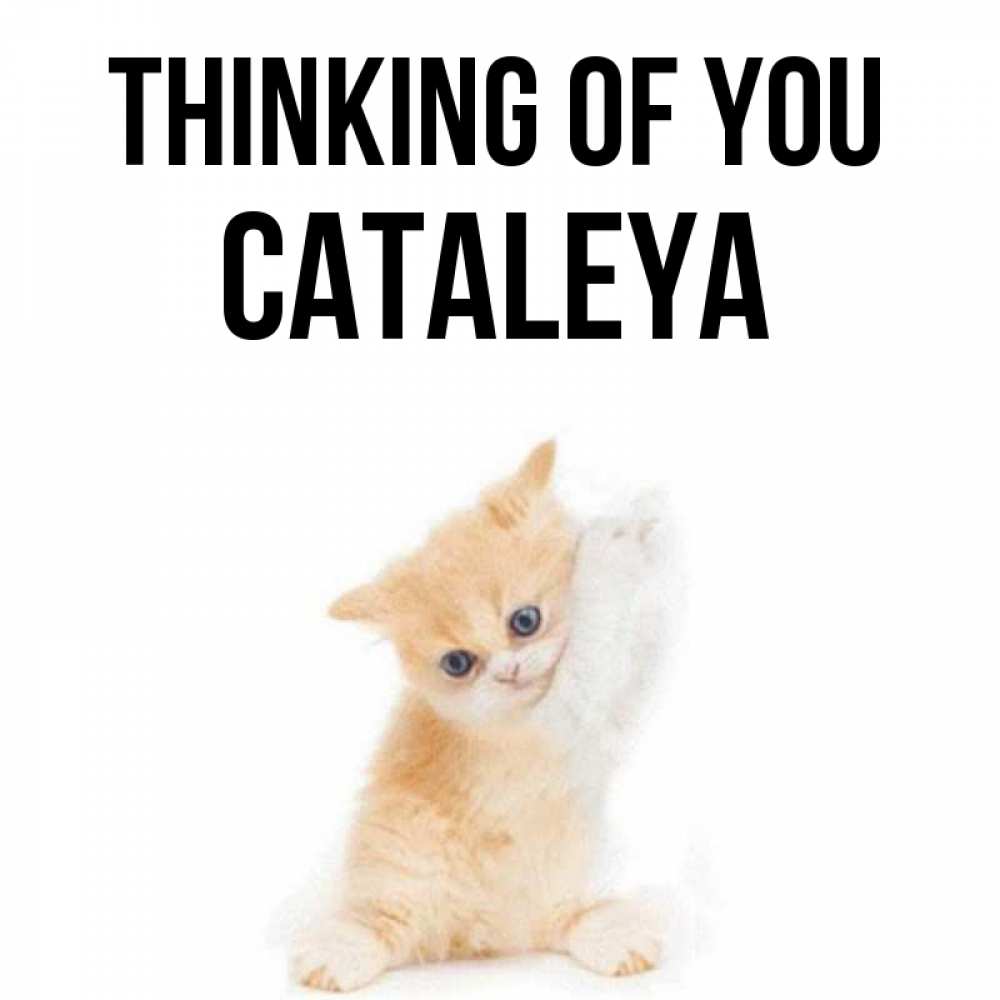 Greetings card с именем, Cataleya Thinking of you зверушки и милота Greetings with text for free download 