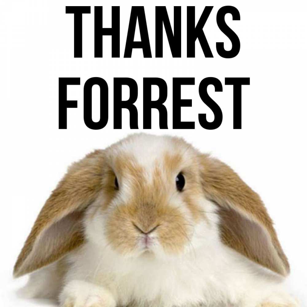 Greetings card с именем, Forrest Thanks коричнево белый заяц Greetings with text for free download 
