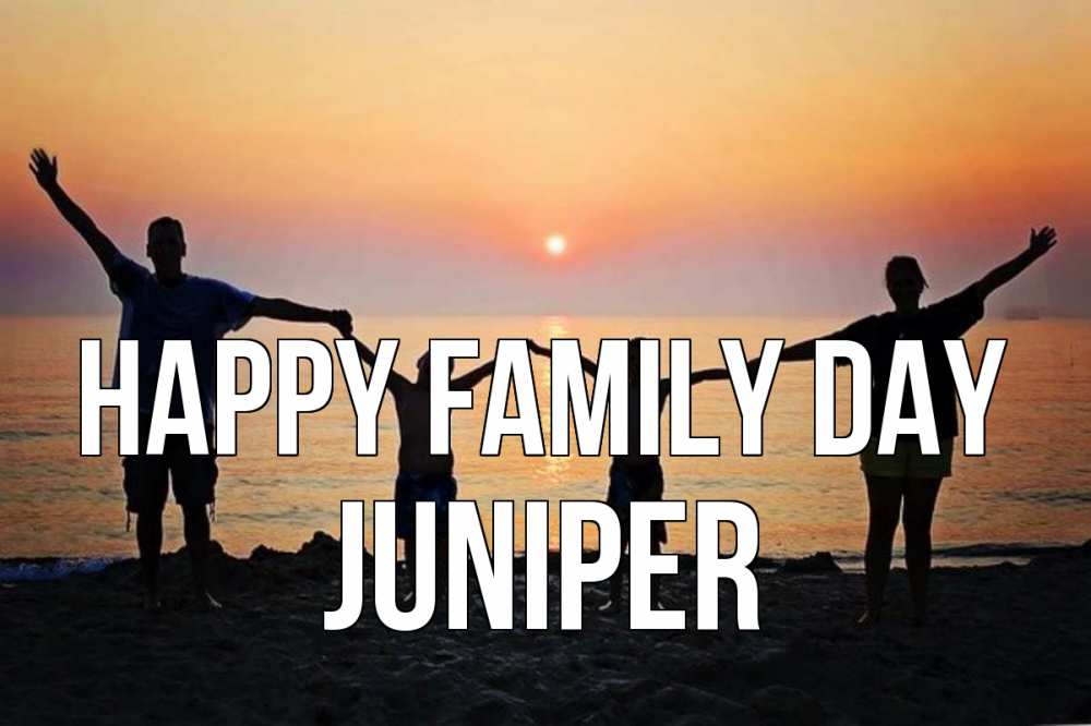 Greetings card с именем, Juniper happy family day мама, папа, дети, дочка,сын, море, пляж, закат Greetings with text for free download 