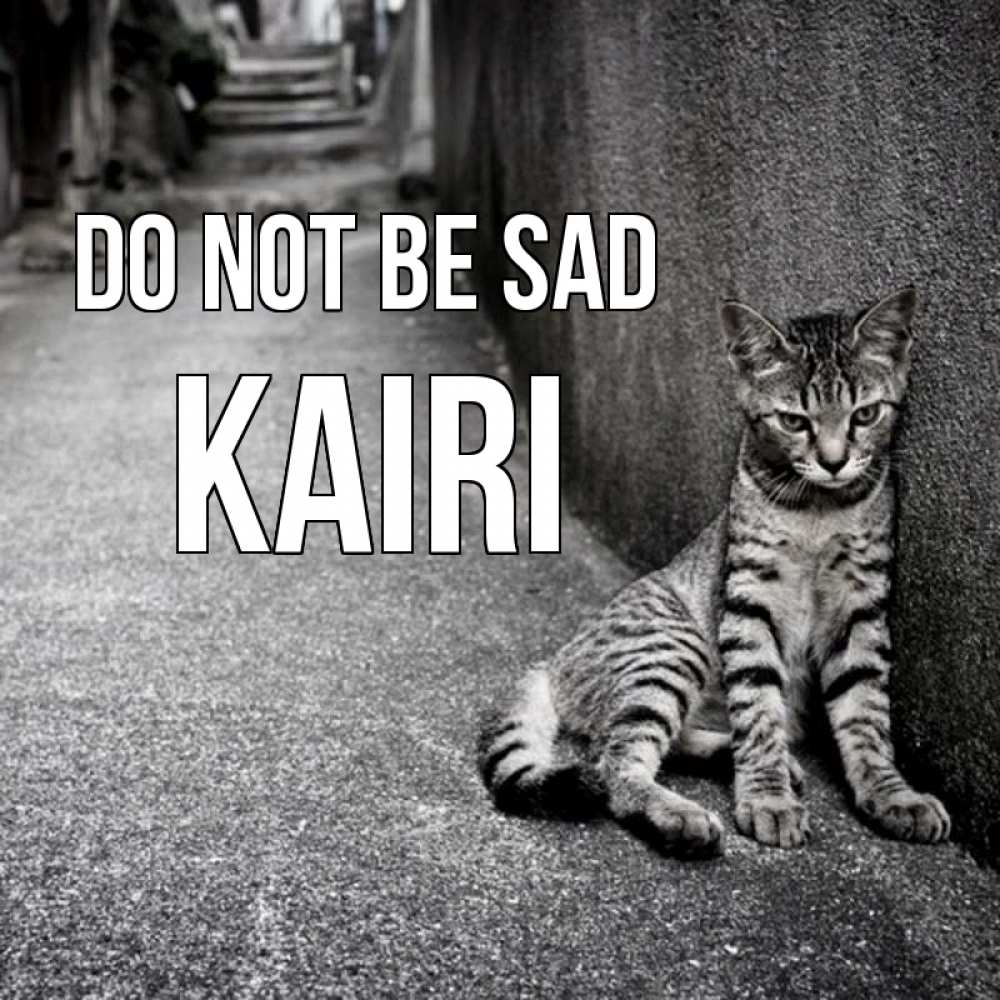 Greetings card с именем, Kairi Do not be sad скучающий котик Greetings with text for free download 