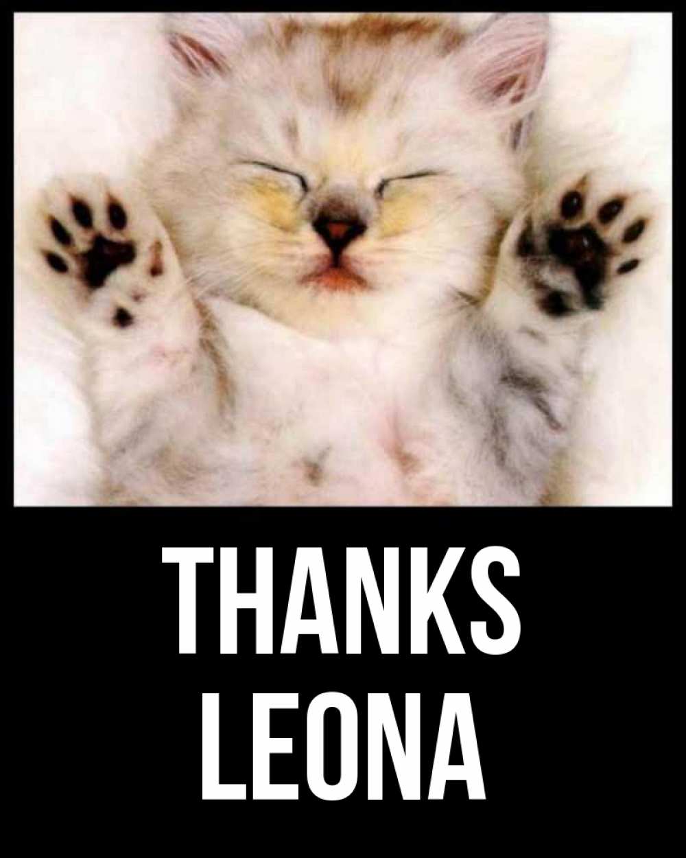 Greetings card с именем, Leona Thanks маленький котенок Greetings with text for free download 