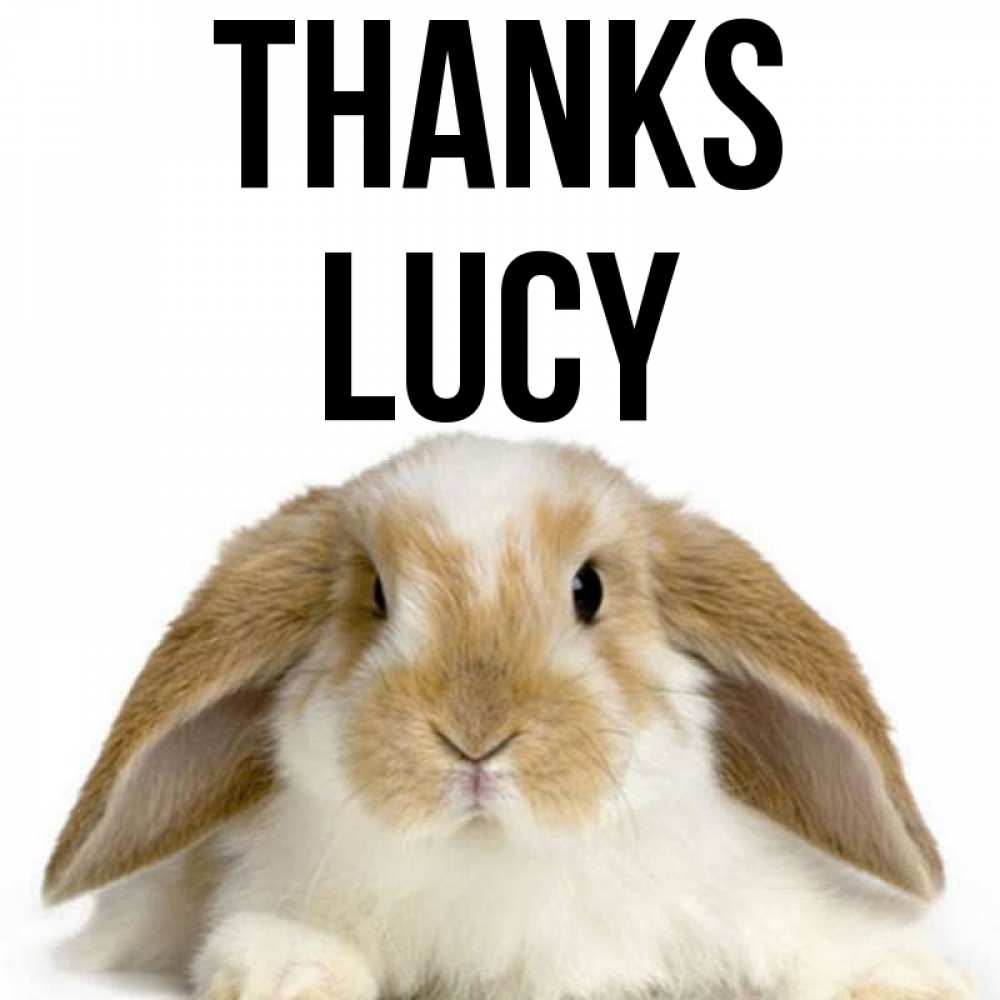 Greetings card с именем, Lucy Thanks коричнево белый заяц Greetings with text for free download 
