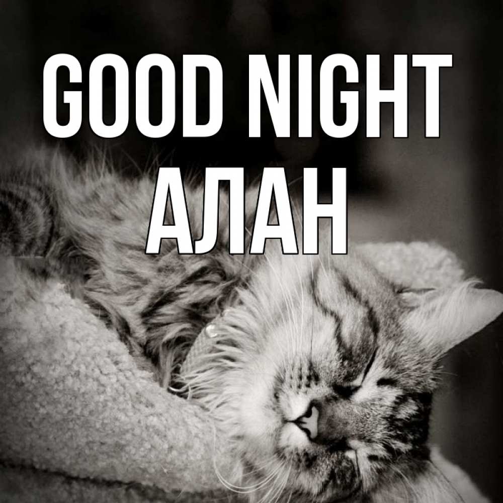 Greetings card с именем, Алан Good night котярик пушистый Greetings with text for free download 
