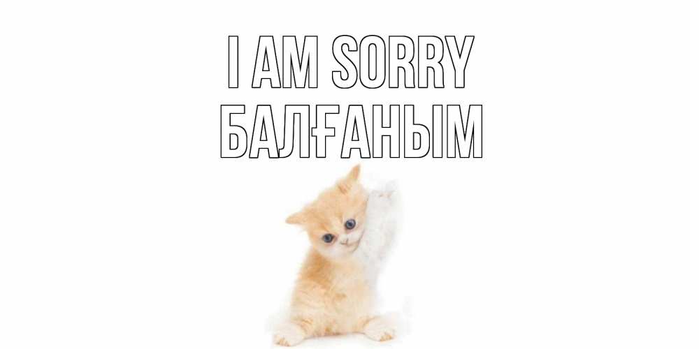 Greetings card с именем, БАЛҒАНЫМ I am sorry кот Greetings with text for free download 