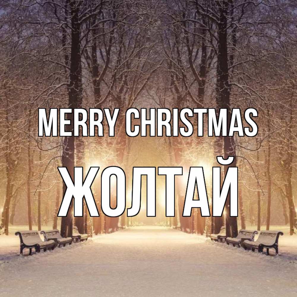 Greetings card с именем, Жолтай Merry Christmas зима, парк, фонарь, лес Greetings with text for free download 