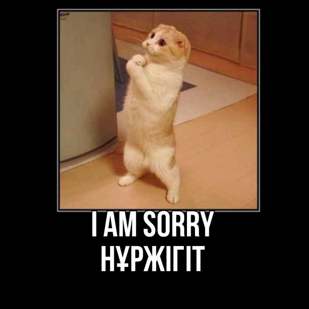 Greetings card с именем, НҰРЖІГІТ I am sorry открытка с милым несчастным котиком просящим прощения Greetings with text for free download 
