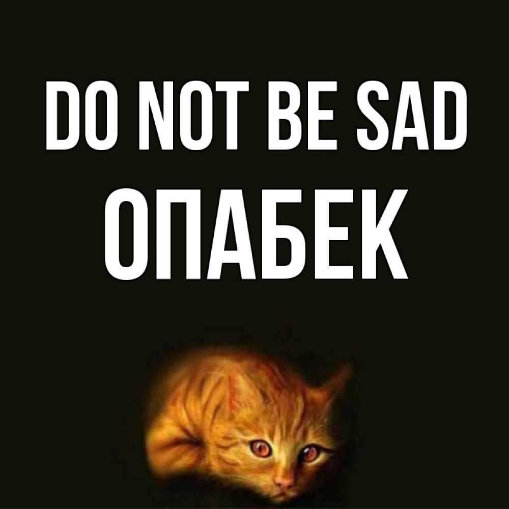 Greetings card с именем, ОПАБЕК Do not be sad лежащий кот в темноте Greetings with text for free download 