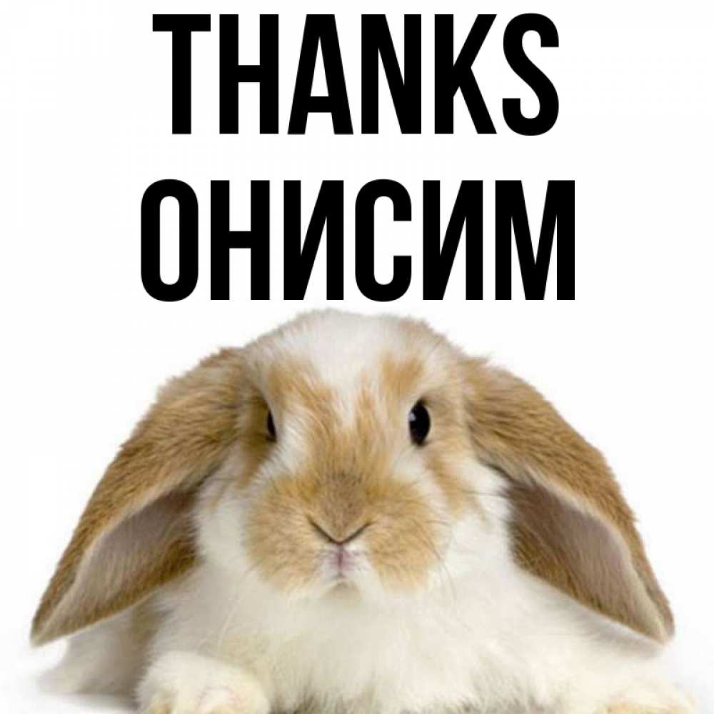 Greetings card с именем, Онисим Thanks коричнево белый заяц Greetings with text for free download 