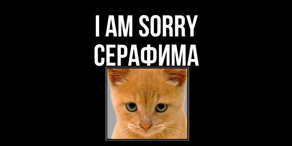 Greetings card с именем, Серафима I am sorry рыжий грустный кот просит прощения Greetings with text for free download 