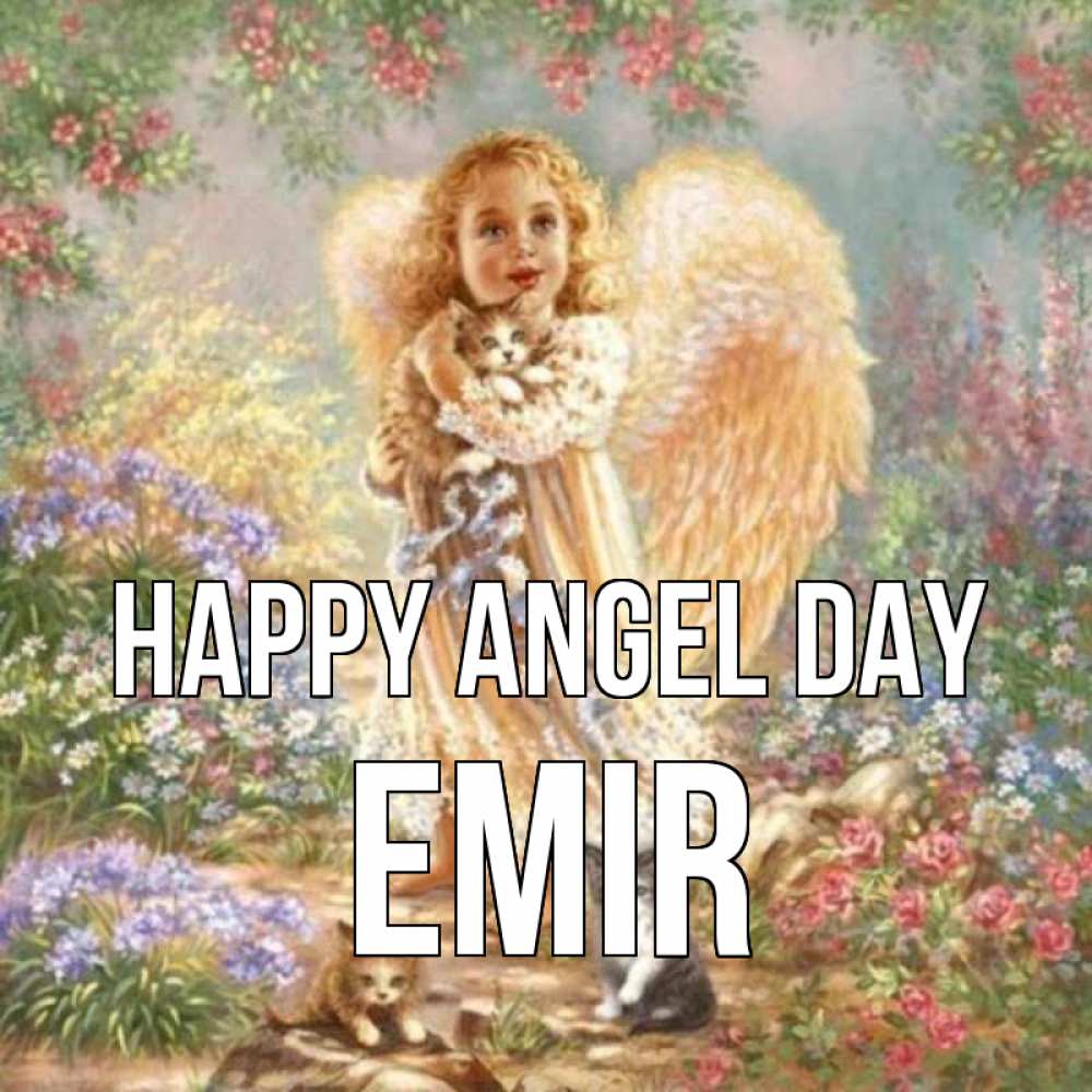 Greetings card с именем, Emir happy angel day держит котенка Greetings with text for free download 