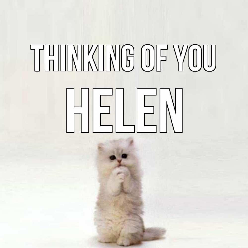 Greetings card с именем, Helen Thinking of you кот стоит на задних лапах Greetings with text for free download 