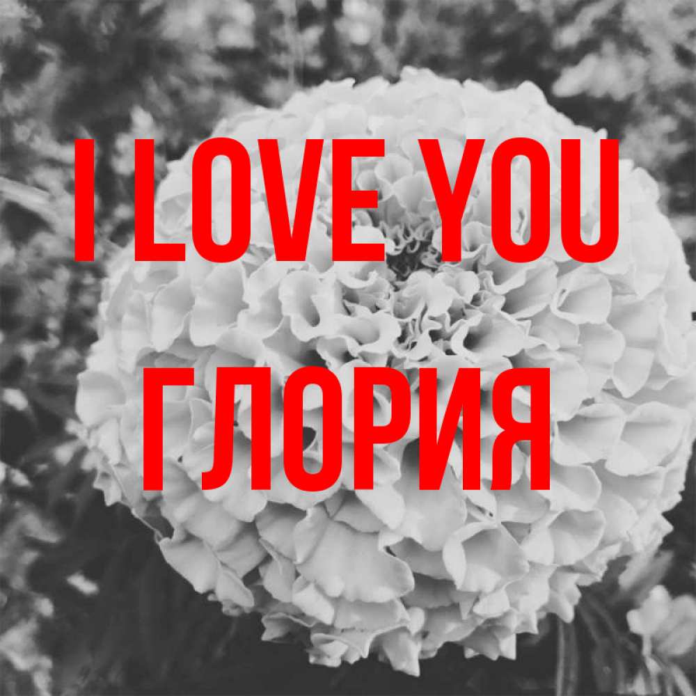 Greetings card с именем, Глория I love you подпись Greetings with text for free download 