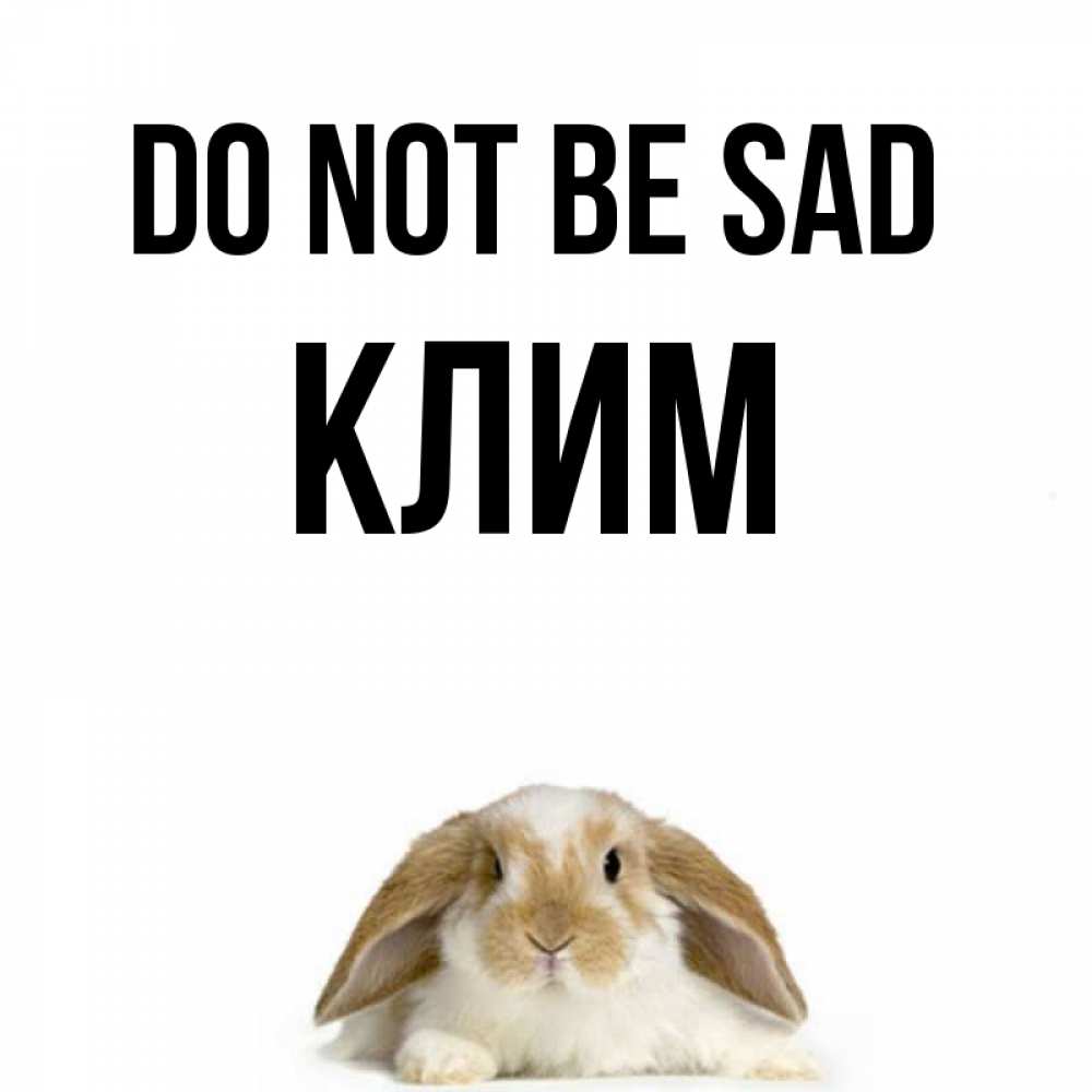 Greetings card с именем, Клим Do not be sad коричнево белый заяц с большими ушками Greetings with text for free download 