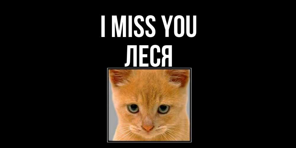 Greetings card с именем, Леся I miss you открытки рыжий котенок скучает по тебе Greetings with text for free download 