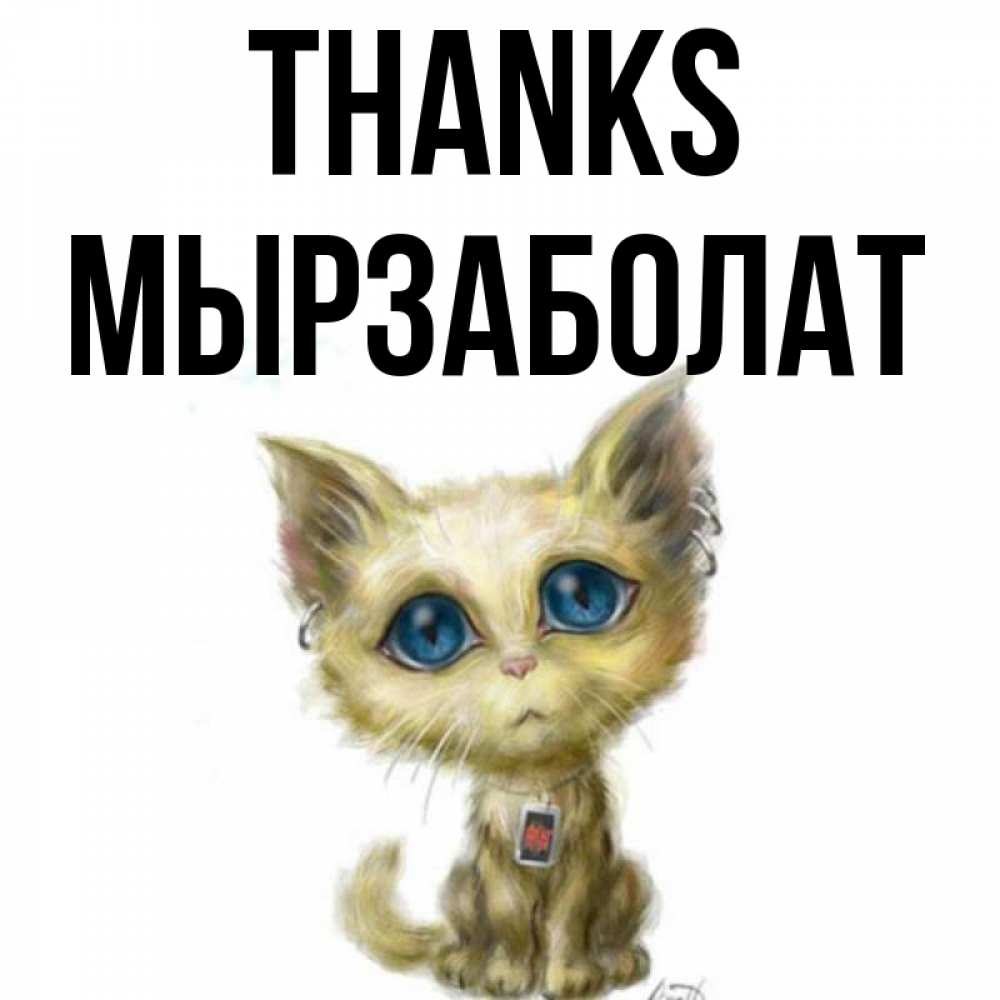Greetings card с именем, Мырзаболат Thanks рисованный кот благодарит вас Greetings with text for free download 