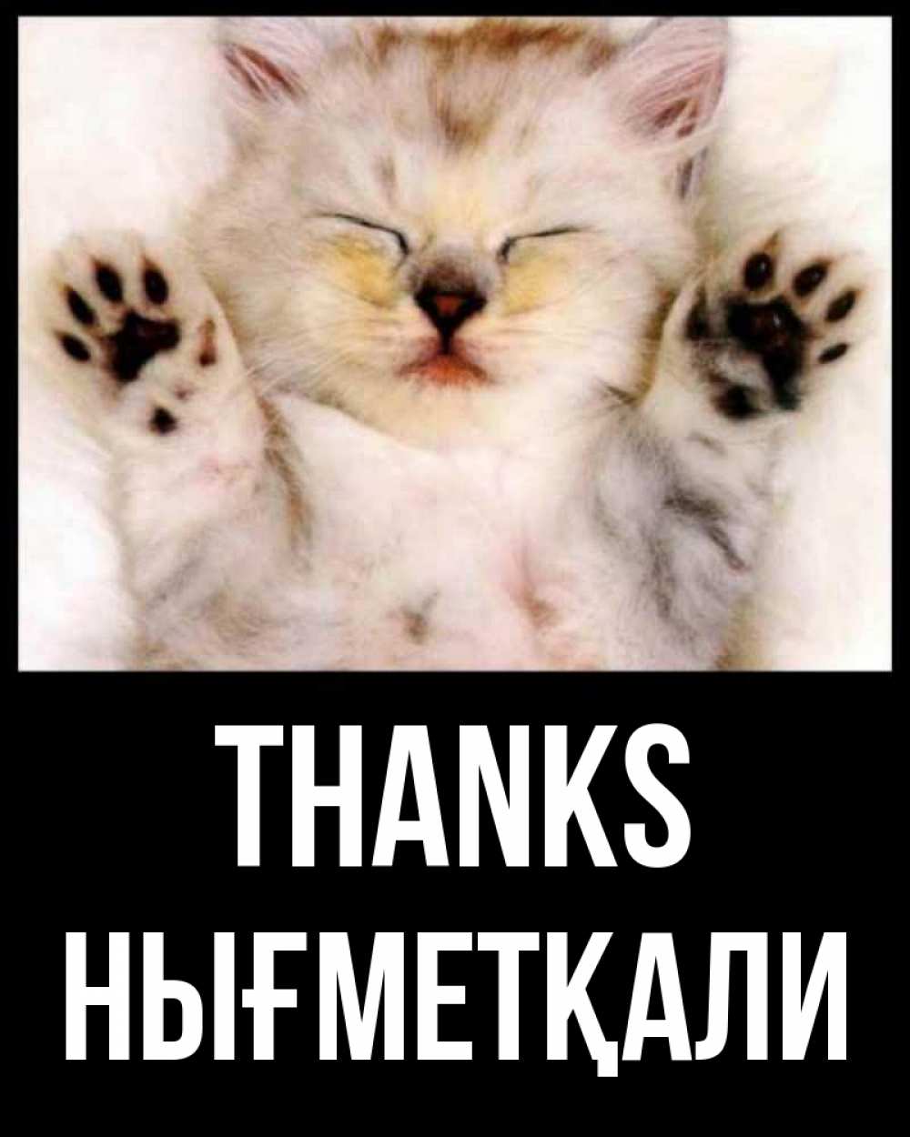 Greetings card с именем, НЫҒМЕТҚАЛИ Thanks маленький котенок Greetings with text for free download 