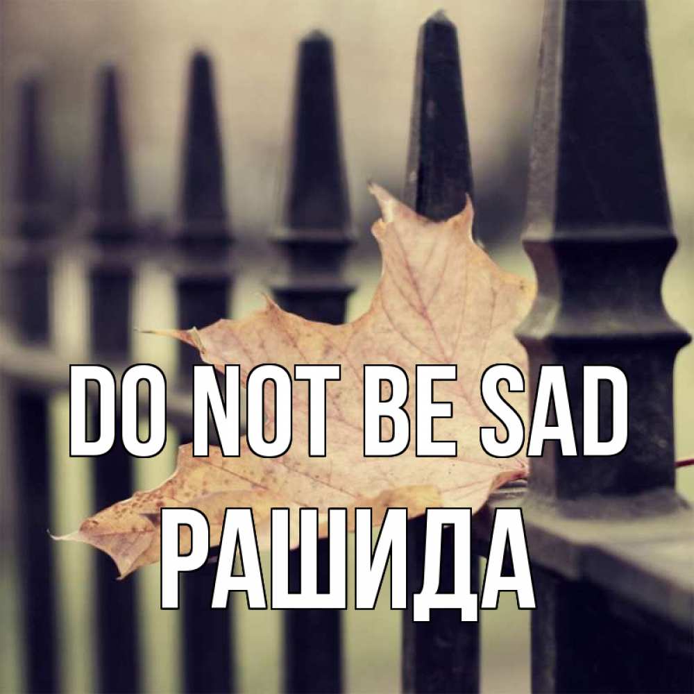 Greetings card с именем, РАШИДА Do not be sad лист клена Greetings with text for free download 