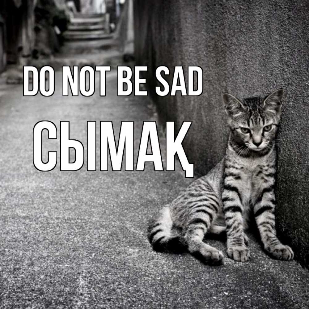 Greetings card с именем, СЫМАҚ Do not be sad скучающий котик Greetings with text for free download 