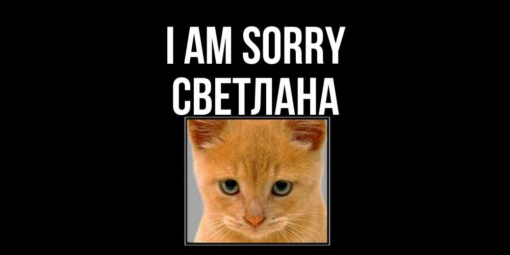 Greetings card с именем, Светлана I am sorry рыжий грустный кот просит прощения Greetings with text for free download 