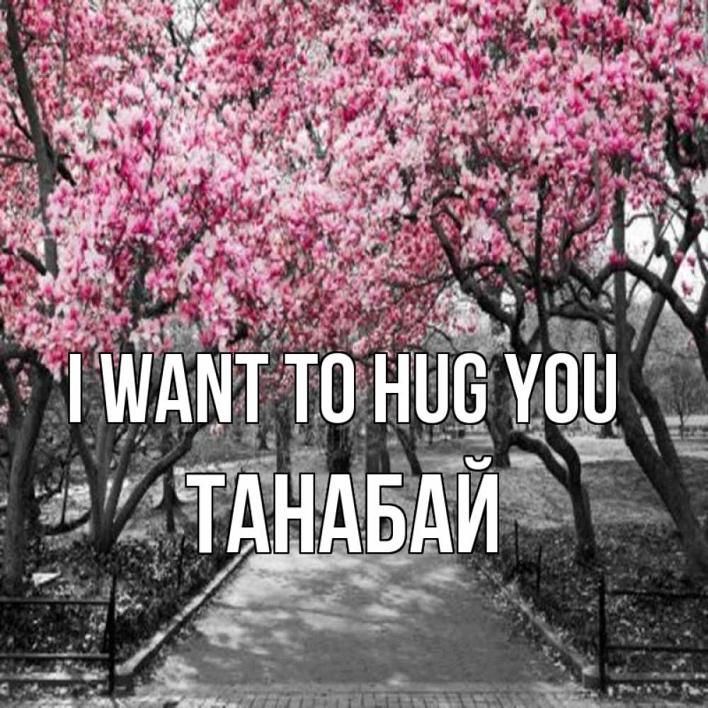 Greetings card с именем, ТАНАБАЙ I want to hug you обработанное фото Greetings with text for free download 