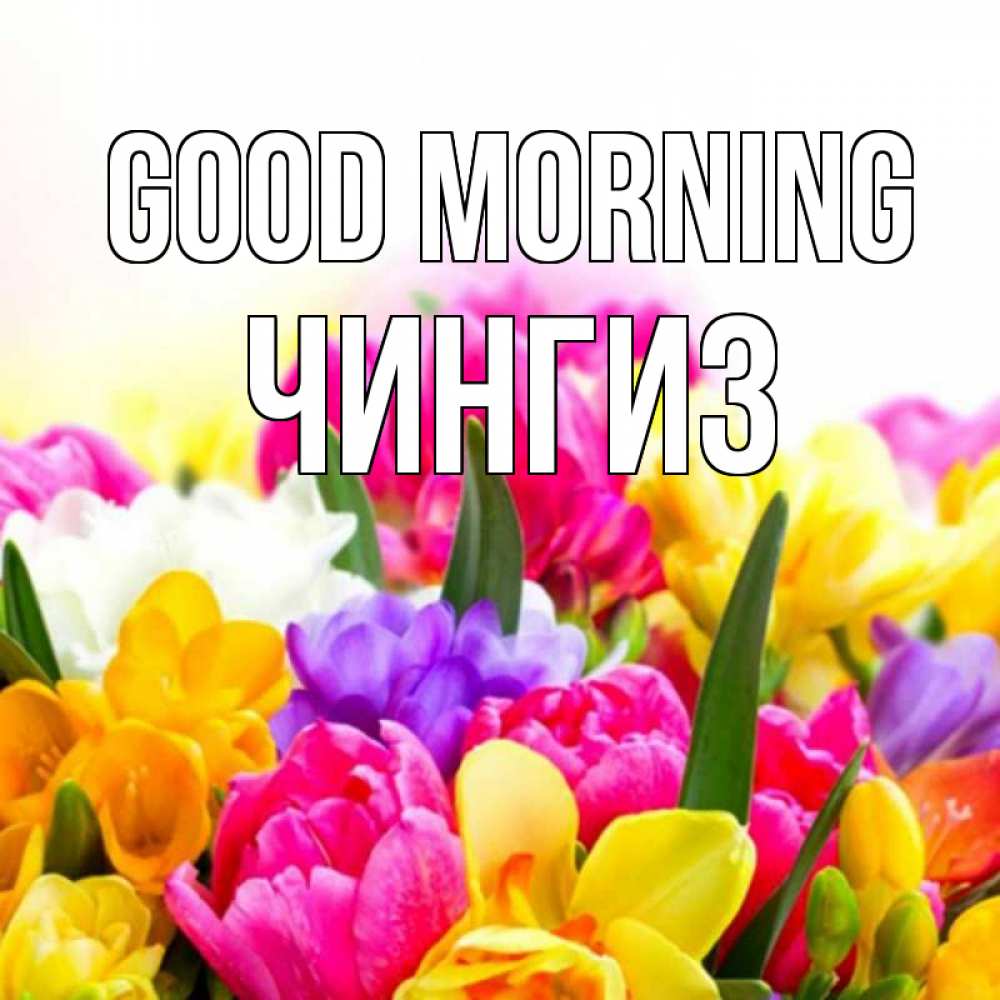Greetings card с именем, Чингиз Good morning создать открытку со свое подписью Greetings with text for free download 