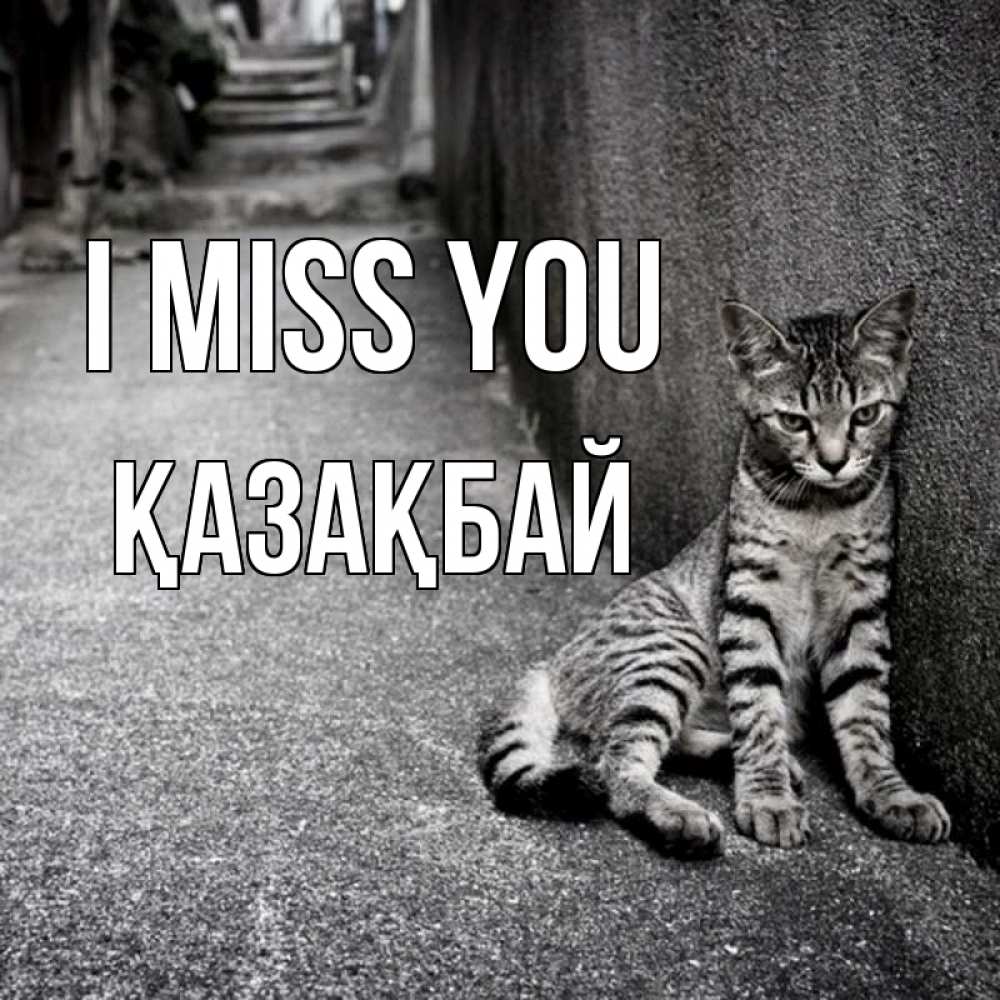 Greetings card с именем, Қазақбай I miss you одиноко котику Greetings with text for free download 