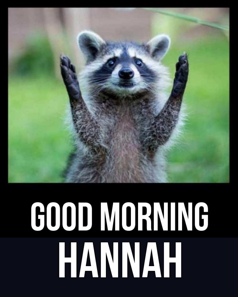 Greetings card с именем, Hannah Good morning хорошее настроение утречком Greetings with text for free download 