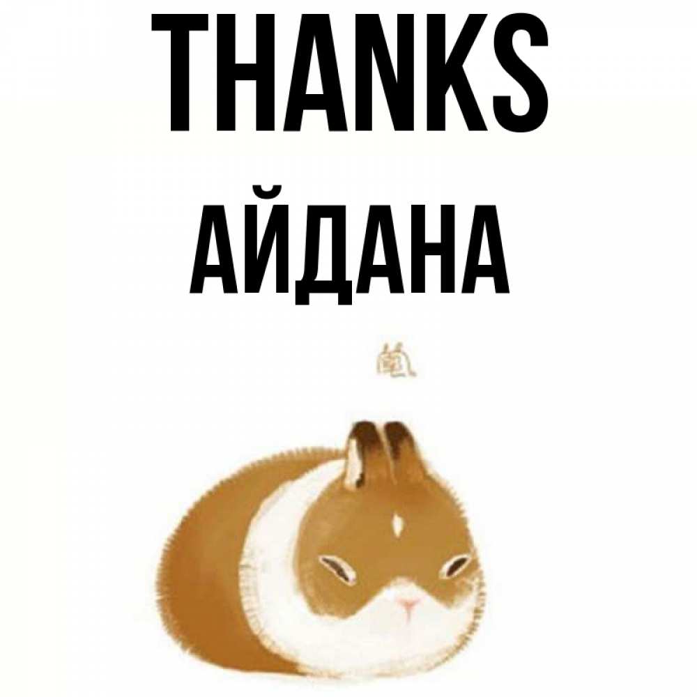 Greetings card с именем, АЙДАНА Thanks коричнево белый домашний питомец Greetings with text for free download 