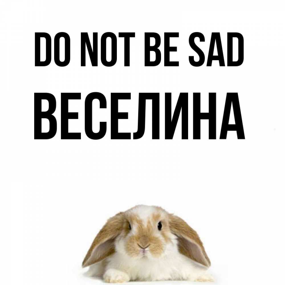 Greetings card с именем, Веселина Do not be sad коричнево белый заяц с большими ушками Greetings with text for free download 