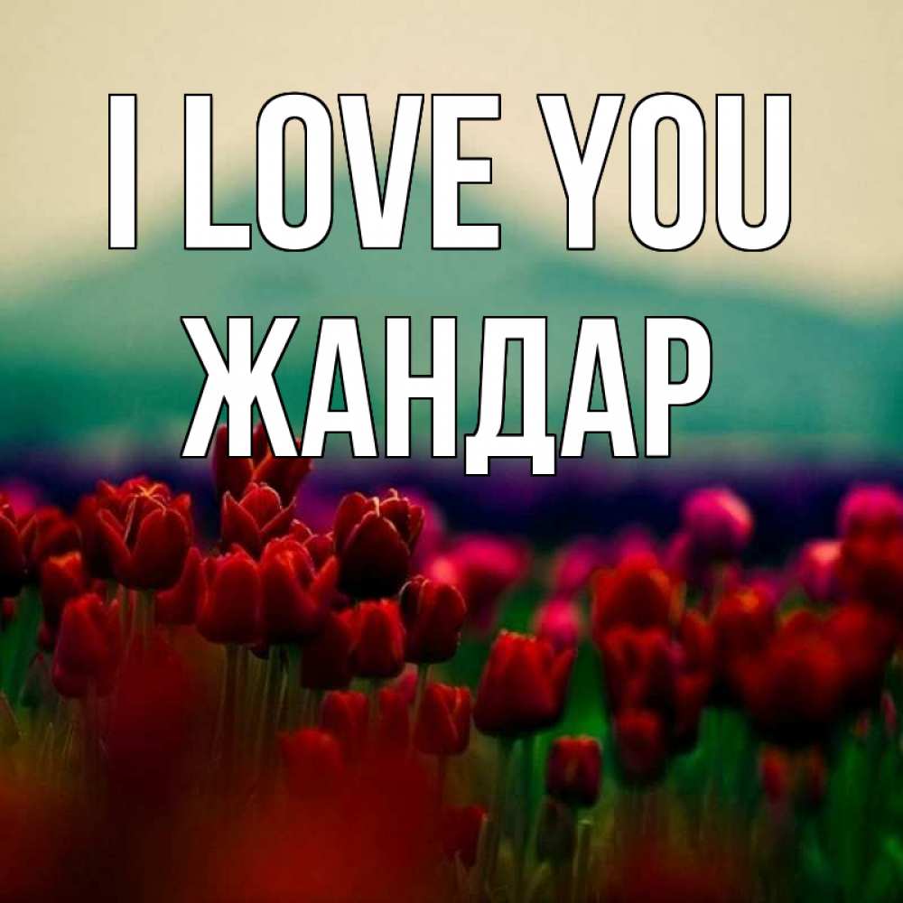 Greetings card с именем, Жандар I love you тюльпаны 4 Greetings with text for free download 