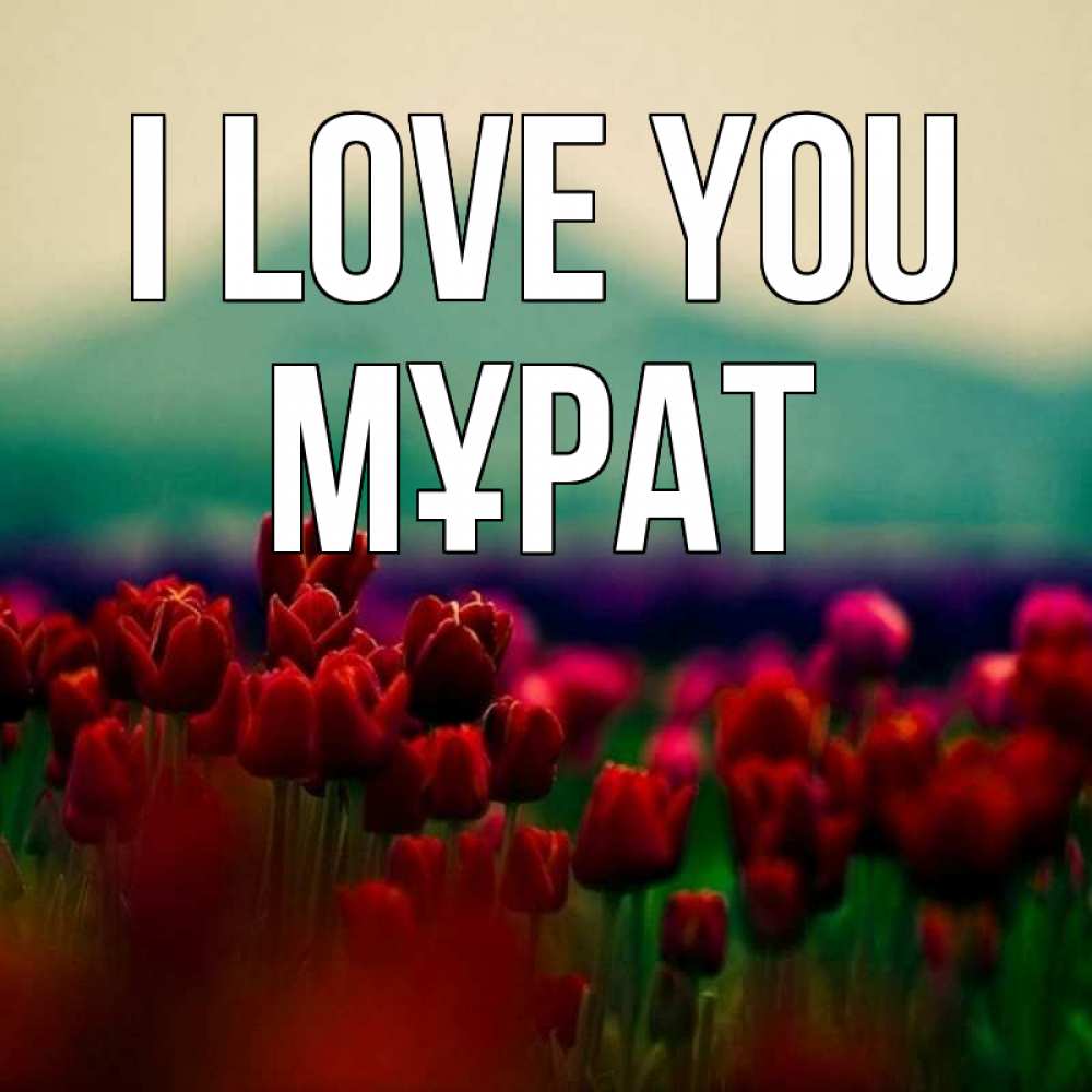 Greetings card с именем, МҰРАТ I love you тюльпаны 4 Greetings with text for free download 