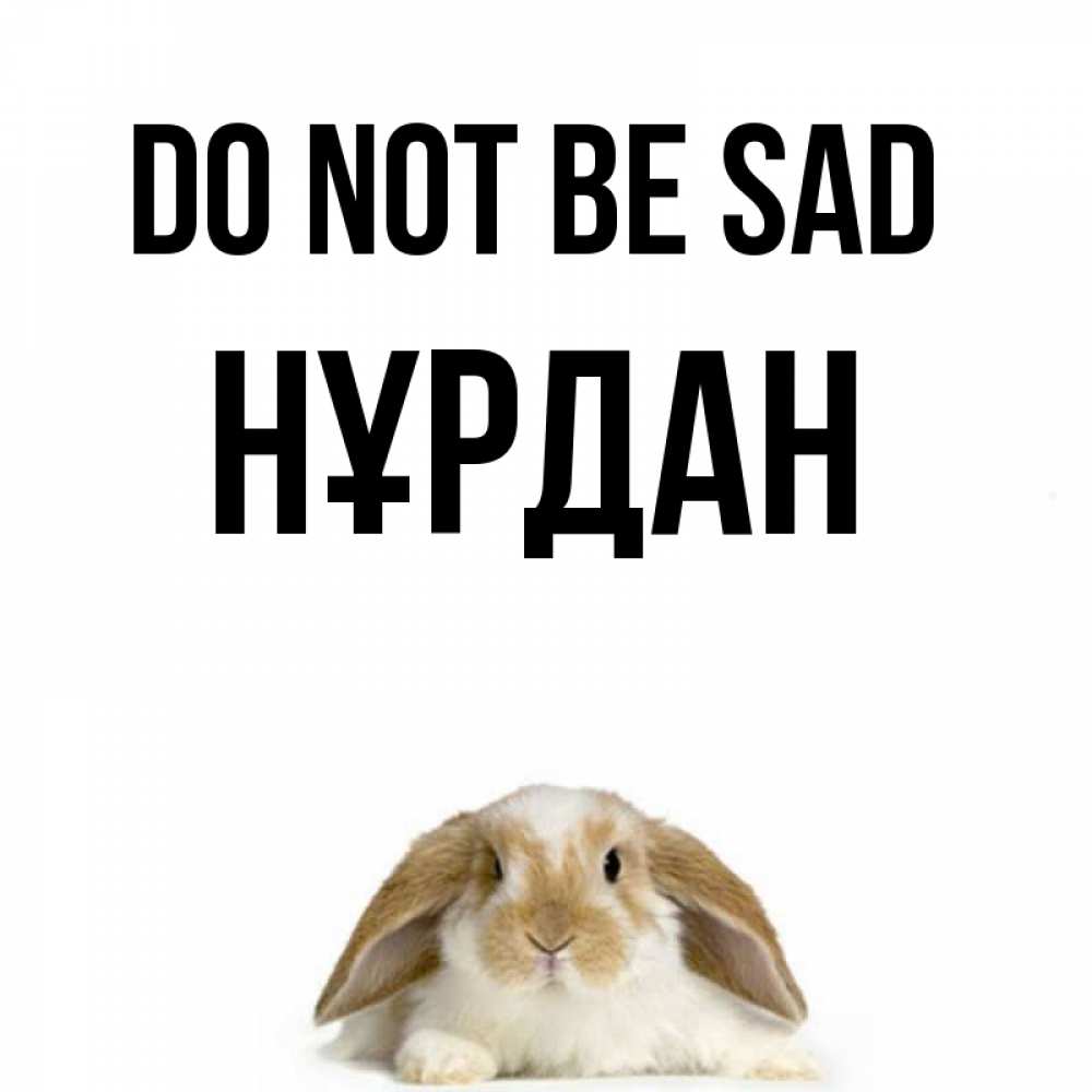 Greetings card с именем, НҰРДАН Do not be sad коричнево белый заяц с большими ушками Greetings with text for free download 