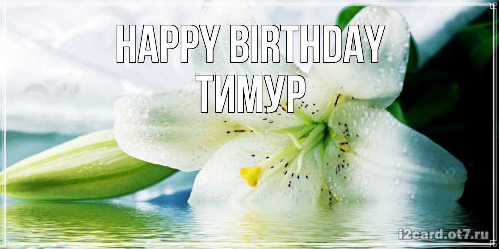 Greetings card с именем, Тимур Happy Birthday лилия на открытке ко дню рождения Greetings with text for free download 