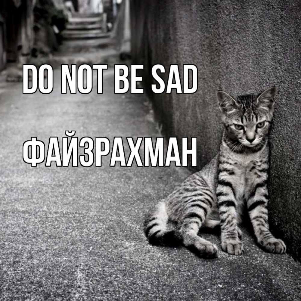 Greetings card с именем, ФАЙЗРАХМАН Do not be sad скучающий котик Greetings with text for free download 