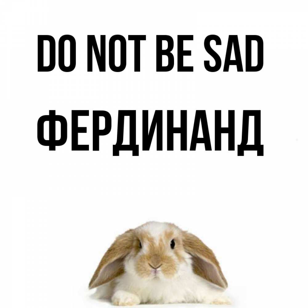 Greetings card с именем, Фердинанд Do not be sad коричнево белый заяц с большими ушками Greetings with text for free download 