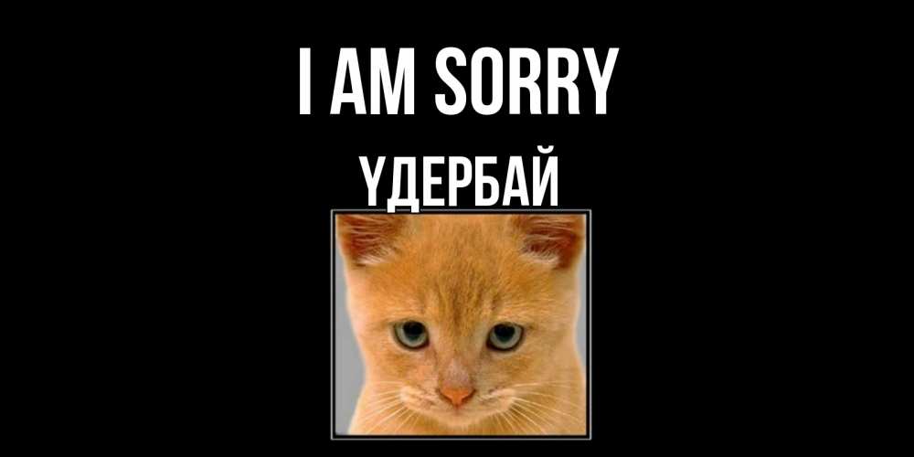 Greetings card с именем, ҮДЕРБАЙ I am sorry рыжий грустный кот просит прощения Greetings with text for free download 