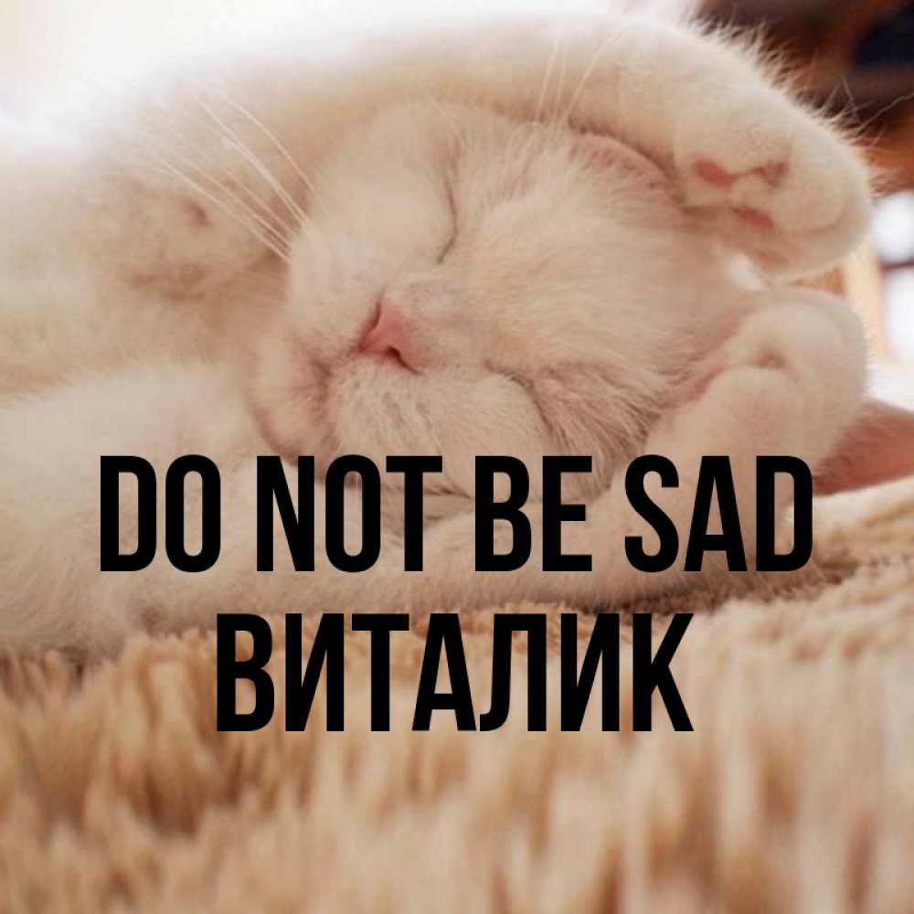Greetings card с именем, Виталик Do not be sad Котенок спит Greetings with text for free download 