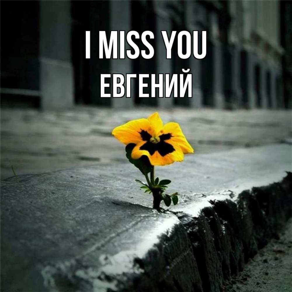Greetings card с именем, Евгений I miss you надеюсь будет лучше Greetings with text for free download 