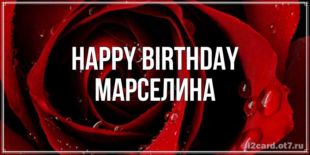 Greetings card с именем, Марселина Happy Birthday крупная бордовая роза Greetings with text for free download 