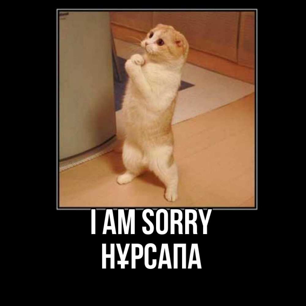 Greetings card с именем, НҰРСАПА I am sorry открытка с милым несчастным котиком просящим прощения Greetings with text for free download 