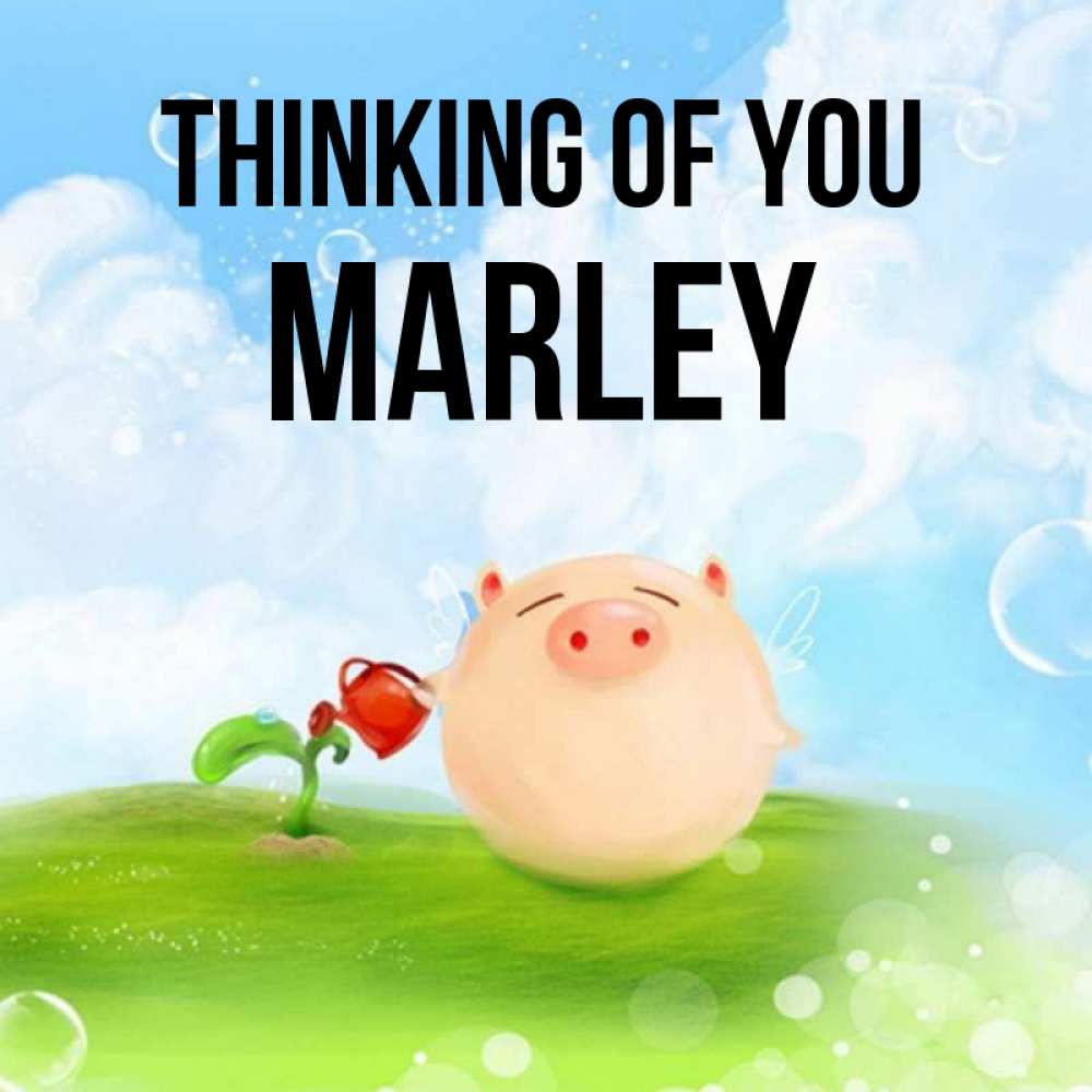 Greetings card с именем, Marley Thinking of you позитивная свинюшка Greetings with text for free download 