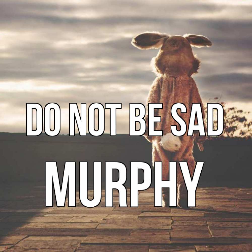 Greetings card с именем, Murphy Do not be sad со спины Greetings with text for free download 