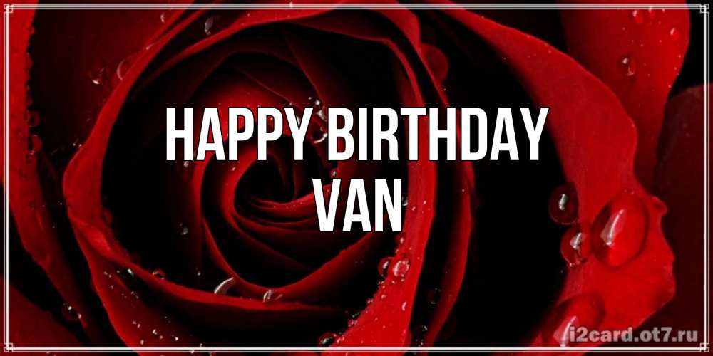 Greetings card с именем, Van Happy Birthday крупная бордовая роза Greetings with text for free download 