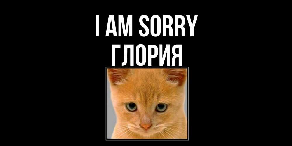 Greetings card с именем, Глория I am sorry рыжий грустный кот просит прощения Greetings with text for free download 