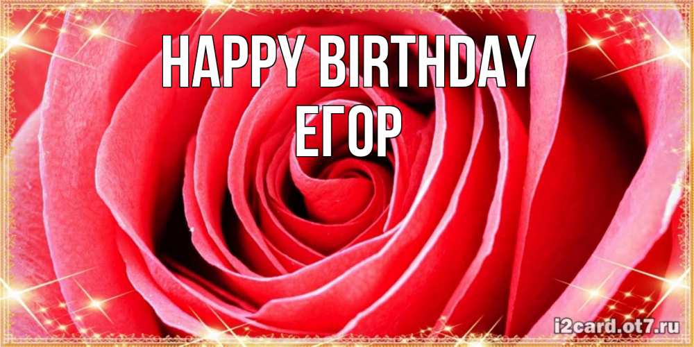 Greetings card с именем, Егор Happy Birthday розовая роза очень крупный бутон Greetings with text for free download 