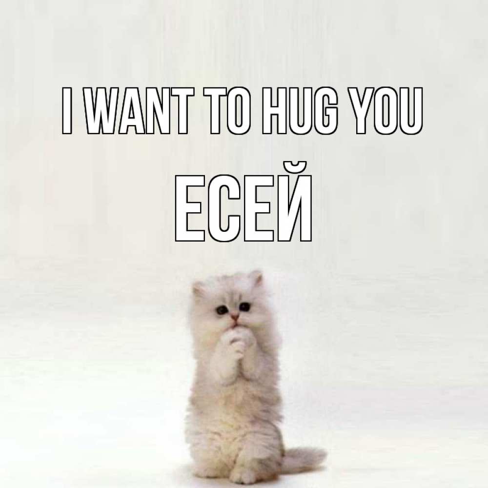 Greetings card с именем, Есей I want to hug you открытки с креативными подписями Greetings with text for free download 