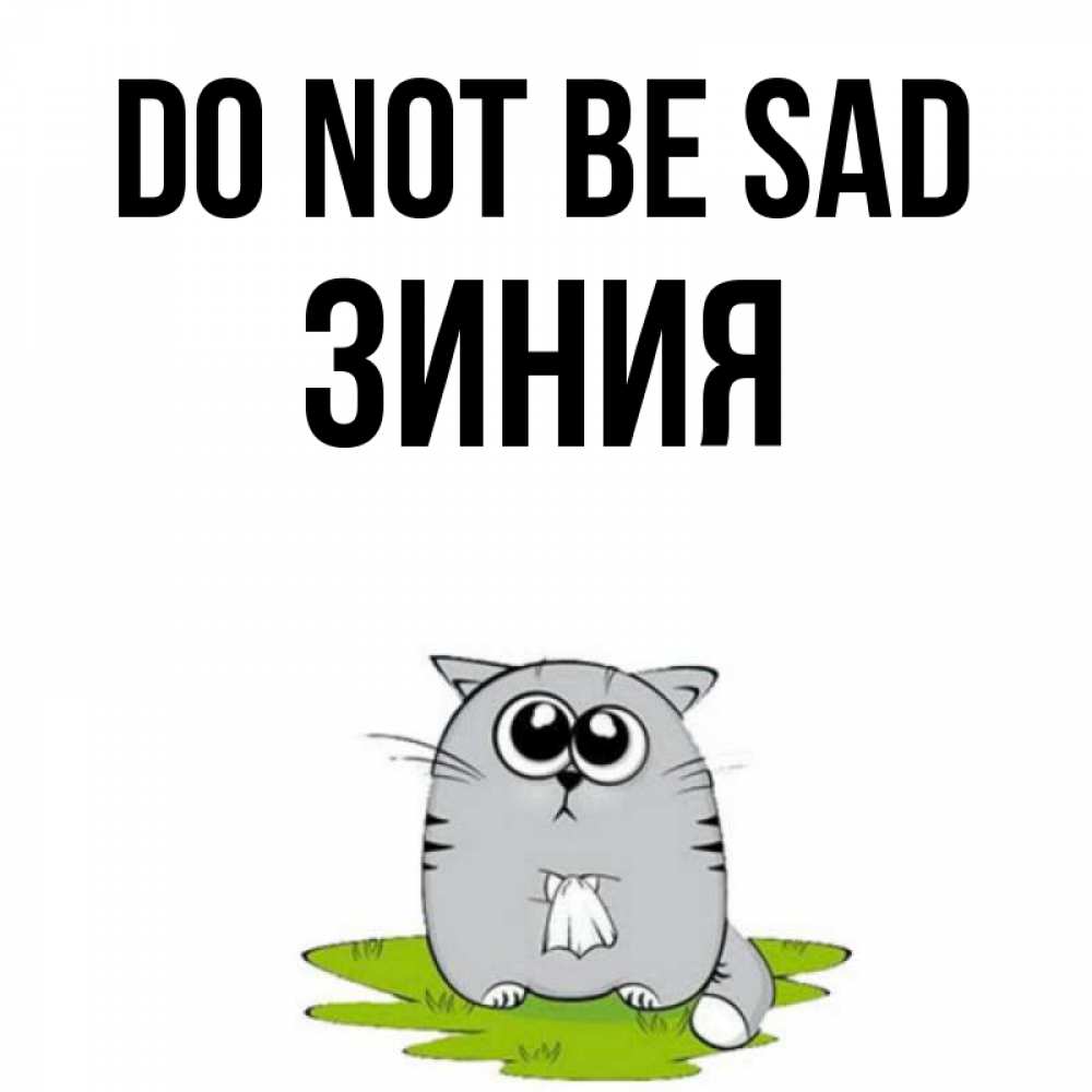 Greetings card с именем, ЗИНИЯ Do not be sad грустный котяра Greetings with text for free download 