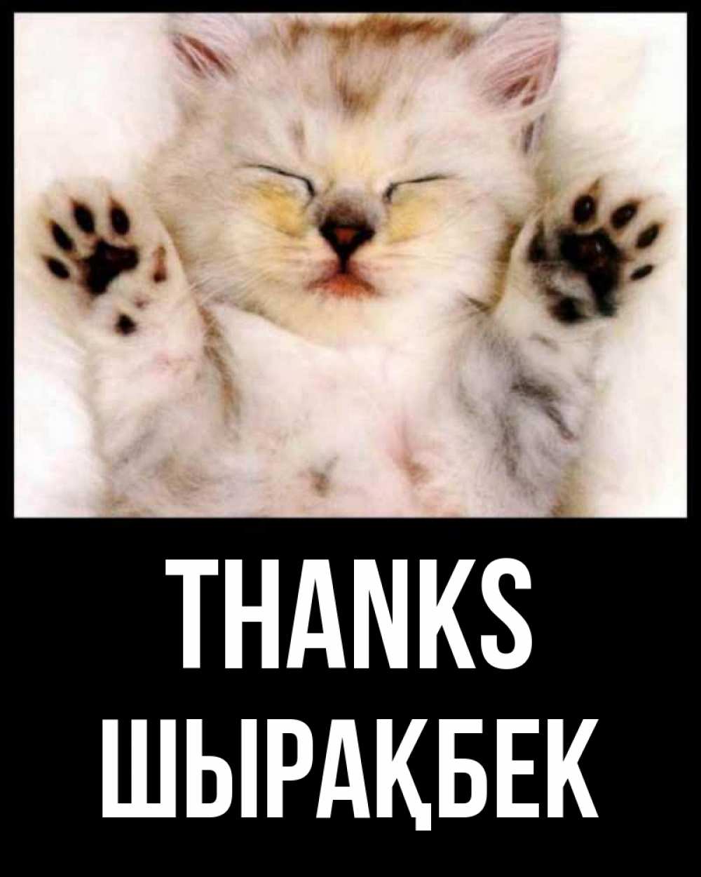 Greetings card с именем, ШЫРАҚБЕК Thanks маленький котенок Greetings with text for free download 